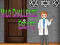 Jeu Amgel Mild Challenge Escape