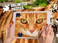 Jeu Unlimited Puzzles