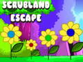 Jeu Scrubland Escape