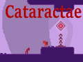 Jeu Cataractae