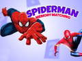 Jeu Spiderman Memory Matching