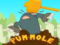 Jeu Pum-Mole
