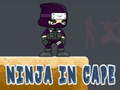 Jeu Ninja in Cape
