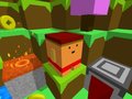 Jeu Blocky Rush Downhill