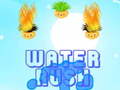 Jeu Water-Rush