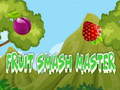 Jeu Fruit Smash Master 