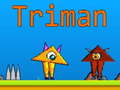 Jeu Triman