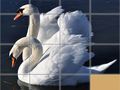 Jeu Animals Slide Puzzle
