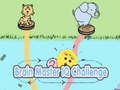 Jeu Brain Master IQ Challenge