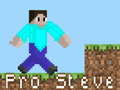 Jeu Pro Steve