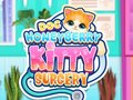 Jeu Doc HoneyBerry Kitty Surgery