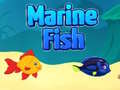 Jeu Marine Fish