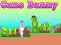 Jeu Cano Bunny