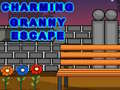 Jeu Charming Granny Escape