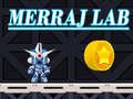 Jeu Merraj Lab