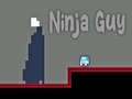 Jeu Ninja Guy