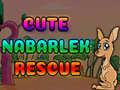 Jeu Cute Nabarlek Rescue