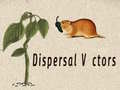 Jeu Dispersal Vectors