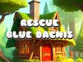 Jeu Rescue Blue Dacnis