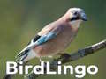 Jeu BirdLingo