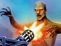 Jeu Gun War Z