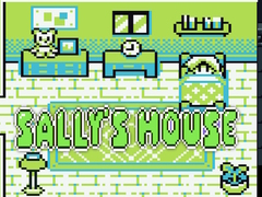 Jeu Sally's House