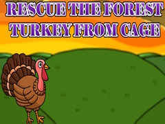 Jeu Rescue the Forest Turkey from Cage