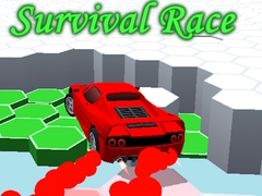 Jeu Survival Race