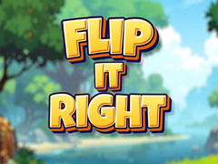 Jeu Flip It Right