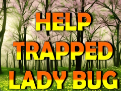 Jeu Help Trapped Lady Bug