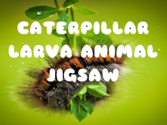 Jeu Caterpillar Larva Animal Jigsaw