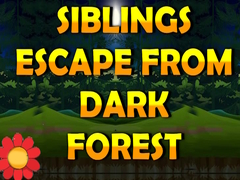 Jeu Siblings Escape From Dark Forest