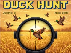 Jeu Duck Hunt