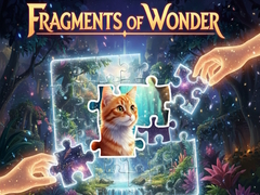 Jeu Fragments of Wonder