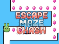 Jeu Escape Maze Chush