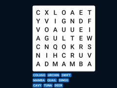 Jeu Word Search Word Puzzle