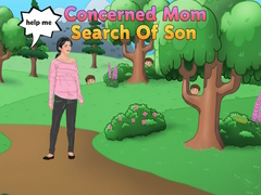 Jeu Concerned Mom Search Of Son