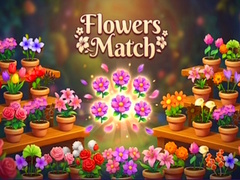 Jeu Flowers Match