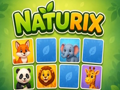 Jeu Naturix