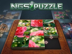 Jeu NGS Puzzle