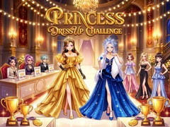 Jeu Princess Dress Up Challenge