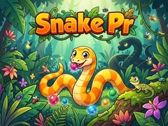 Jeu Snake Pr