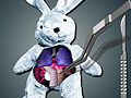 Jeu Save The Bunny