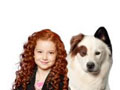 Dog dot com games  Dog dot com games